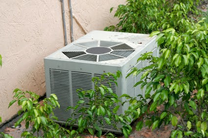 Outdoor Unit Around Bushes 